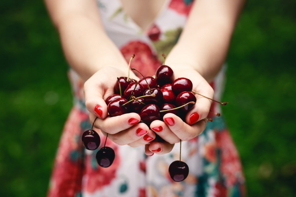 Close up of hands full of cherries.
