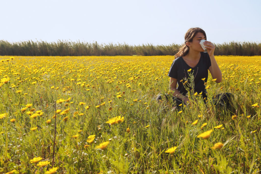 A young girl in flowery field sneezing in Cyprus.