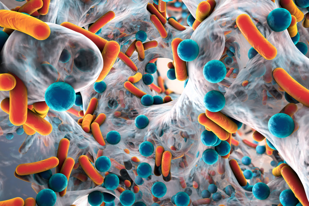 Biofilm of antibiotic resistant bacteria, rod-shaped and spherical bacteria.
