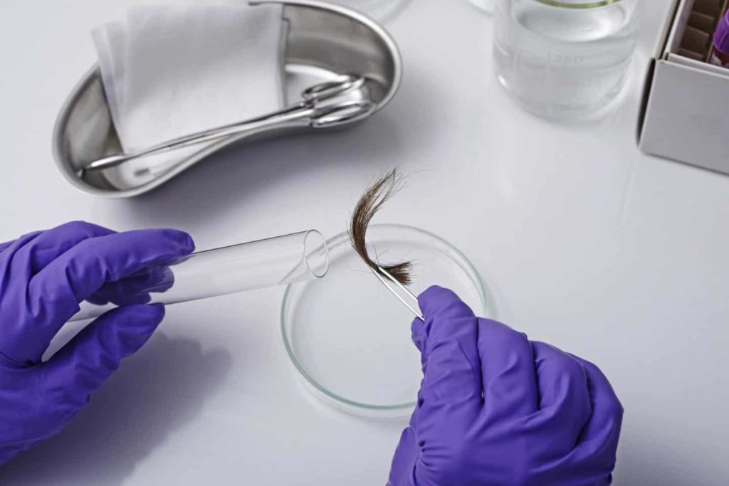 Person wearing purple gloves holding a hair sample in an Hair Testing Laboratory in NZ